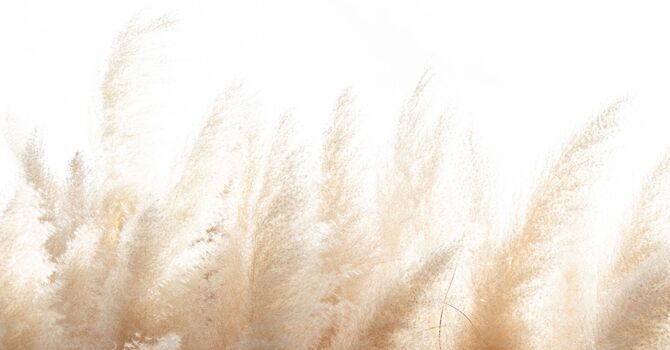 Functional Labs Consult - Nutrients Rx